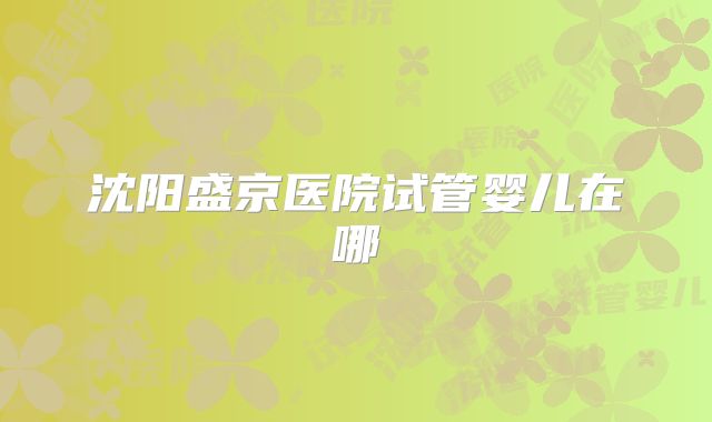 沈阳盛京医院试管婴儿在哪