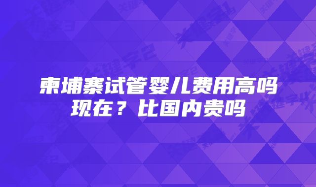 柬埔寨试管婴儿费用高吗现在?比国内贵吗