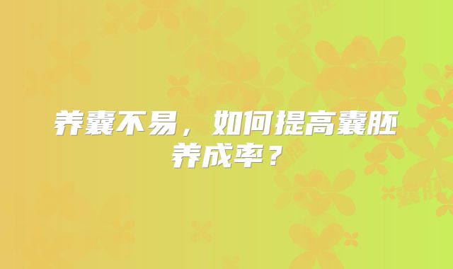 养囊不易，如何提高囊胚养成率？