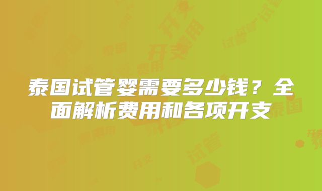 泰国试管婴需要多少钱？全面解析费用和各项开支