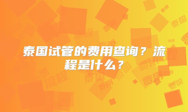 泰国试管的费用查询？流程是什么？