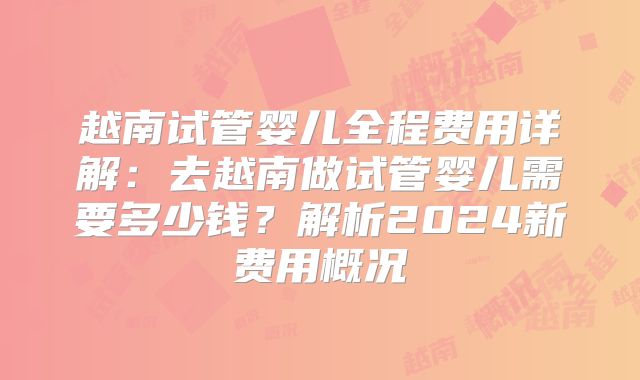 越南试管婴儿全程费用详解:去越南做试管婴儿需要多少钱?解析2024新费用概况