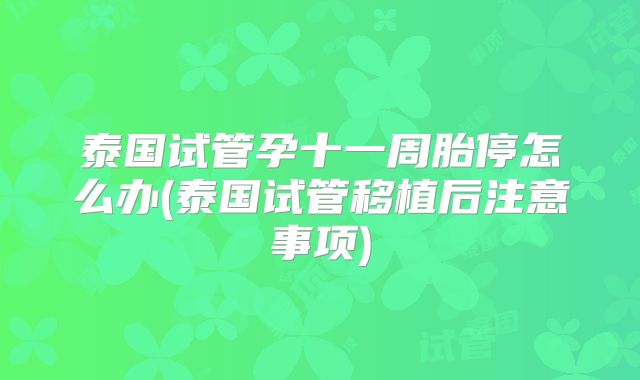 泰国试管孕十一周胎停怎么办(泰国试管移植后注意事项)