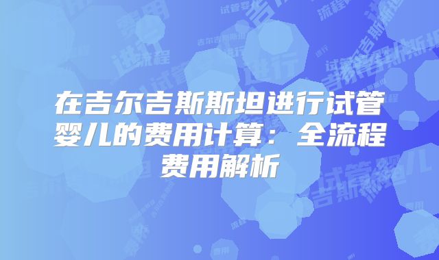 在吉尔吉斯斯坦进行试管婴儿的费用计算：全流程费用解析