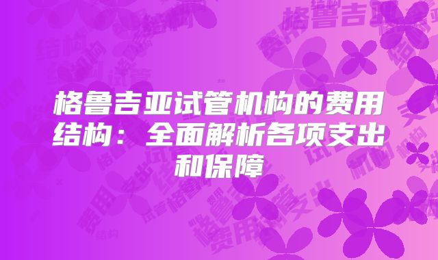 格鲁吉亚试管机构的费用结构：全面解析各项支出和保障