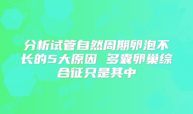 分析试管自然周期卵泡不长的5大原因 多囊卵巢综合征只是其中