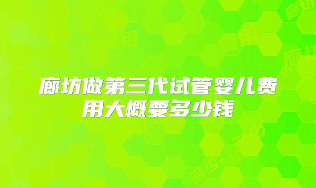 廊坊做第三代试管婴儿费用大概要多少钱
