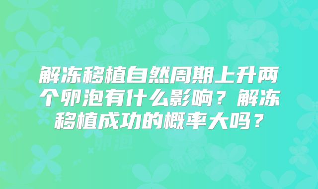 解冻移植自然周期上升两个卵泡有什么影响？解冻移植成功的概率大吗？