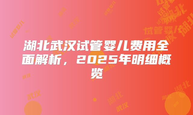 湖北武汉试管婴儿费用全面解析，2025年明细概览