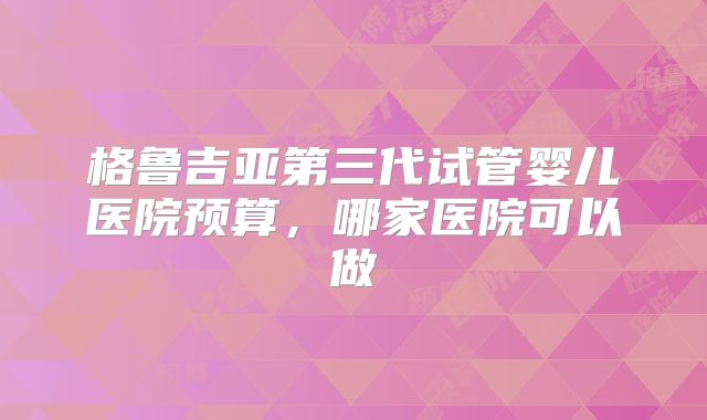 格鲁吉亚第三代试管婴儿医院预算，哪家医院可以做
