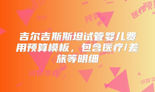 吉尔吉斯斯坦试管婴儿费用预算模板，包含医疗/差旅等明细