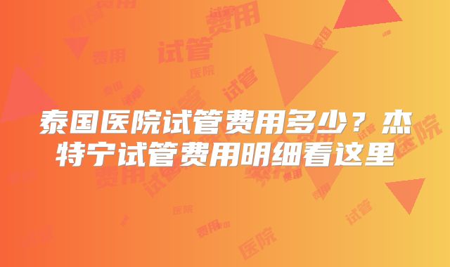 泰国医院试管费用多少？杰特宁试管费用明细看这里