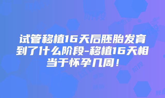 试管移植16天后胚胎发育到了什么阶段-移植16天相当于怀孕几周！
