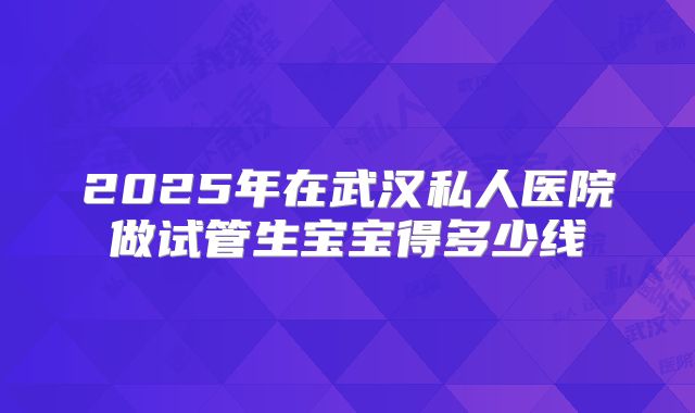2025年在武汉私人医院做试管生宝宝得多少线