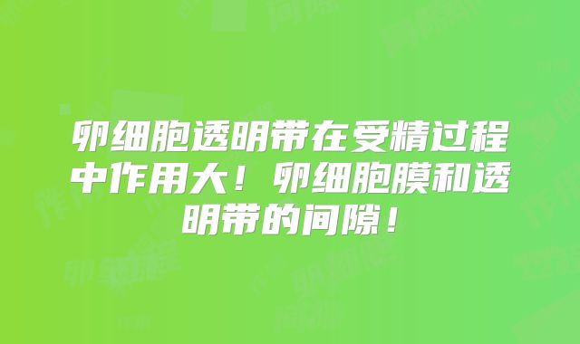 卵细胞透明带在受精过程中作用大！卵细胞膜和透明带的间隙！