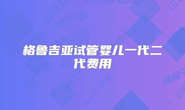 格鲁吉亚试管婴儿一代二代费用