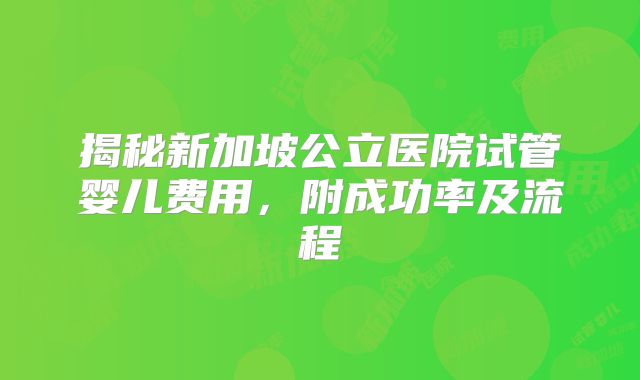 揭秘新加坡公立医院试管婴儿费用，附成功率及流程
