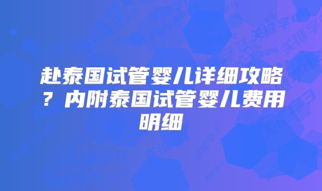 赴泰国试管婴儿详细攻略？内附泰国试管婴儿费用明细