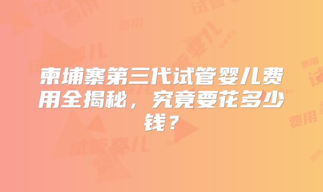 柬埔寨第三代试管婴儿费用全揭秘,究竟要花多少钱?