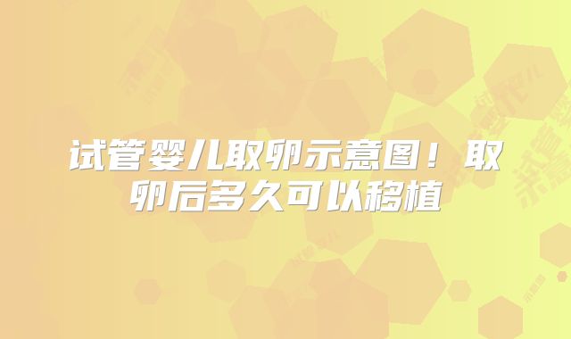 试管婴儿取卵示意图！取卵后多久可以移植