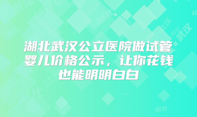 湖北武汉公立医院做试管婴儿价格公示，让你花钱也能明明白白