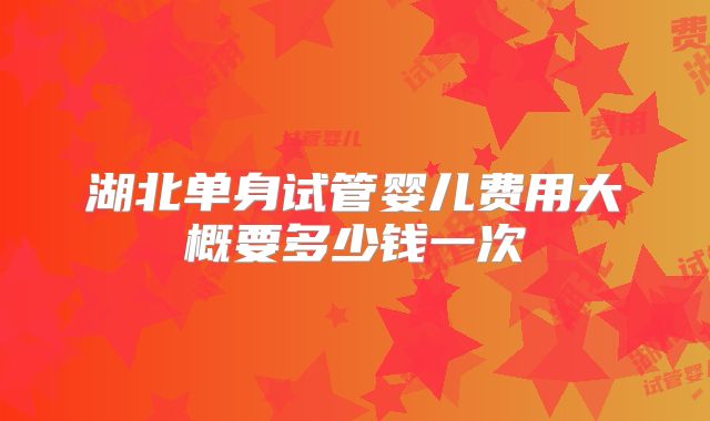 湖北单身试管婴儿费用大概要多少钱一次