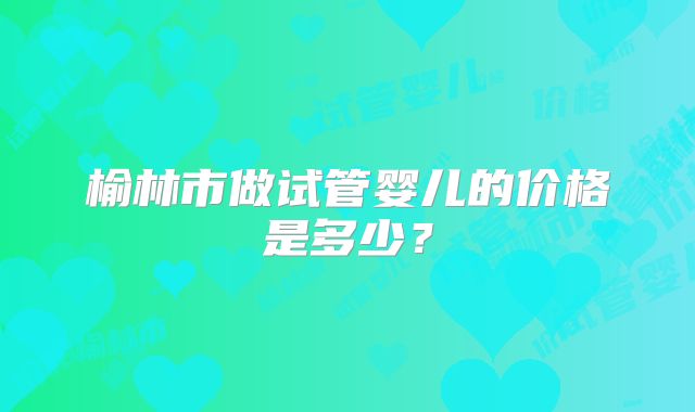 榆林市做试管婴儿的价格是多少?