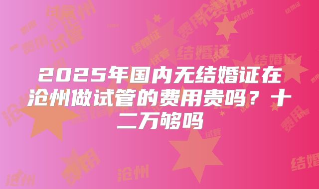 2025年国内无结婚证在沧州做试管的费用贵吗?十二万够吗