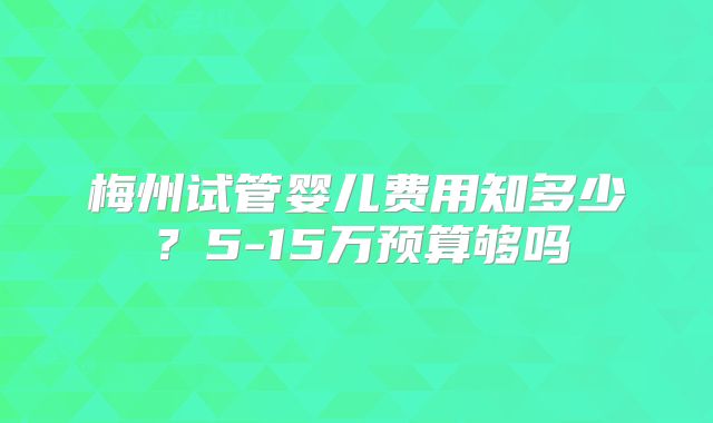 梅州试管婴儿费用知多少？5-15万预算够吗