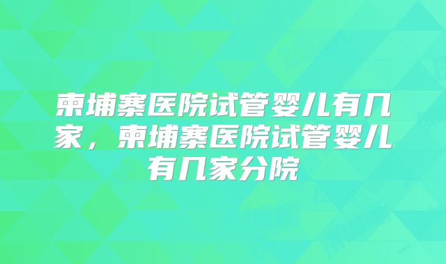 柬埔寨医院试管婴儿有几家，柬埔寨医院试管婴儿有几家分院