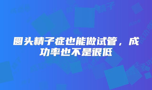 圆头精子症也能做试管,成功率也不是很低