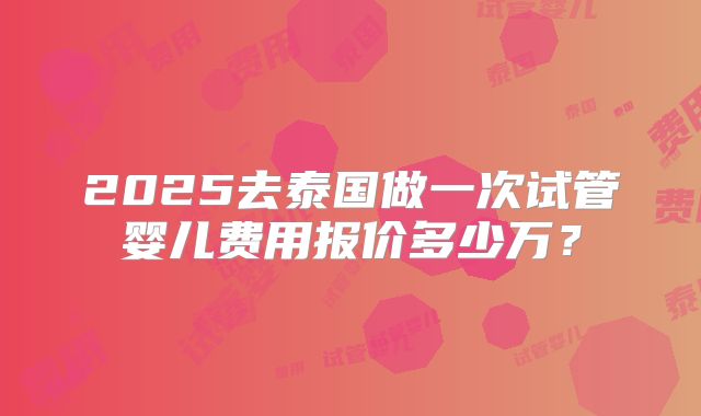 2025去泰国做一次试管婴儿费用报价多少万?