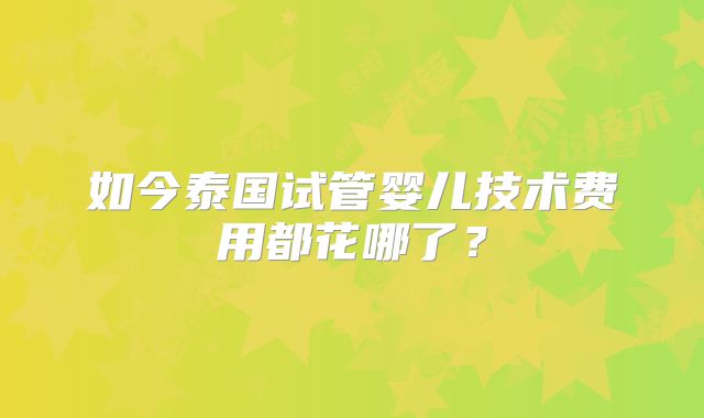如今泰国试管婴儿技术费用都花哪了?