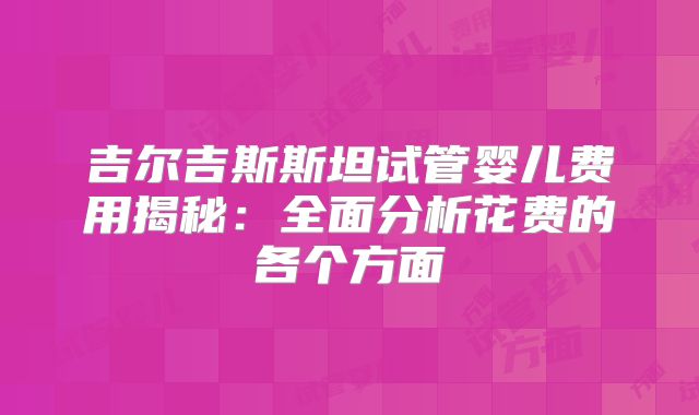 吉尔吉斯斯坦试管婴儿费用揭秘：全面分析花费的各个方面
