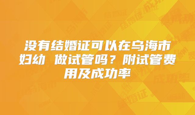没有结婚证可以在乌海市妇幼 做试管吗?附试管费用及成功率
