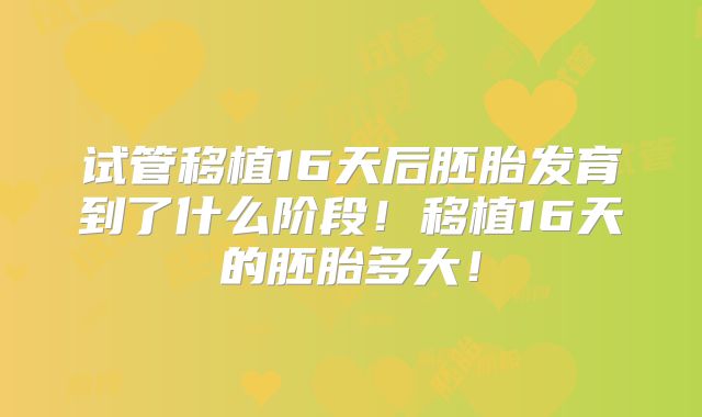 试管移植16天后胚胎发育到了什么阶段!移植16天的胚胎多大!