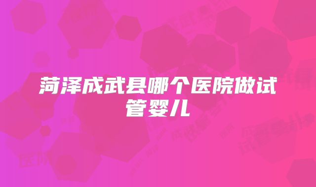 菏泽成武县哪个医院做试管婴儿