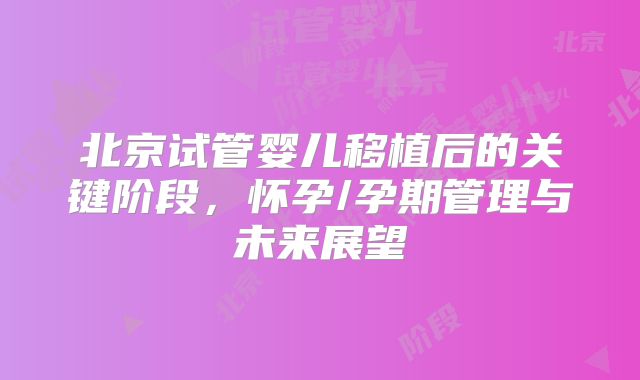 北京试管婴儿移植后的关键阶段,怀孕/孕期管理与未来展望