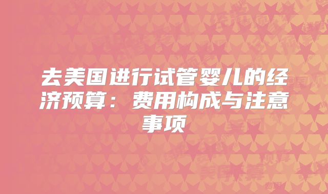 去美国进行试管婴儿的经济预算:费用构成与注意事项