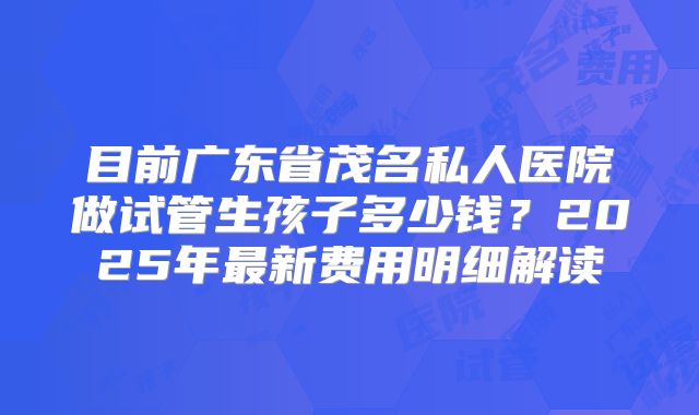 目前广东省茂名私人医院做试管生孩子多少钱？2025年最新费用明细解读