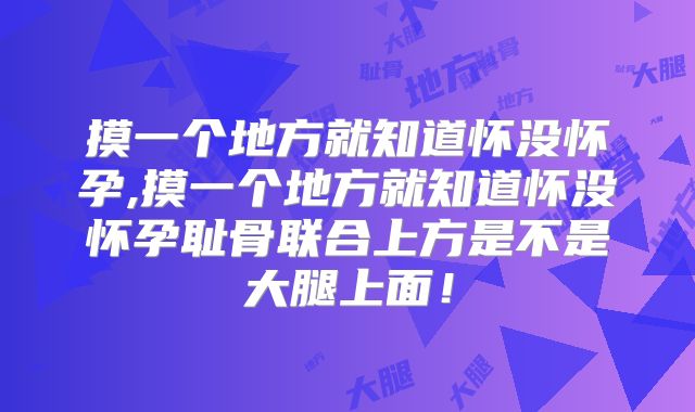 摸一个地方就知道怀没怀孕,摸一个地方就知道怀没怀孕耻骨联合上方是不是大腿上面！