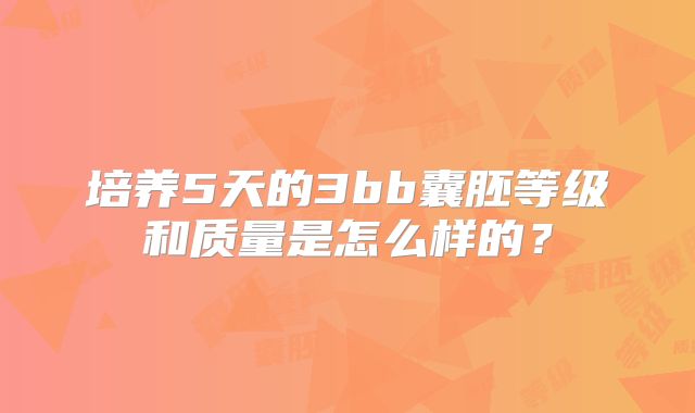 培养5天的3bb囊胚等级和质量是怎么样的？