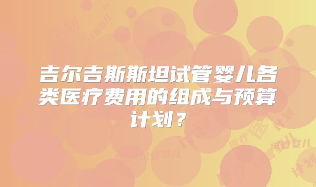 吉尔吉斯斯坦试管婴儿各类医疗费用的组成与预算计划？