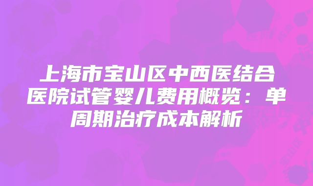 上海市宝山区中西医结合医院试管婴儿费用概览:单周期治疗成本解析