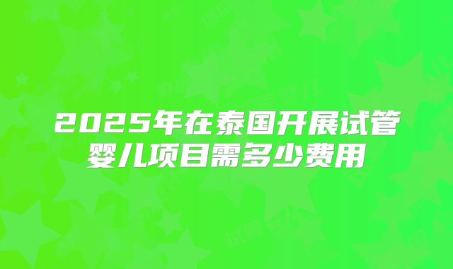 2025年在泰国开展试管婴儿项目需多少费用