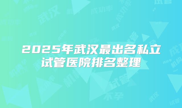 2025年武汉最出名私立试管医院排名整理