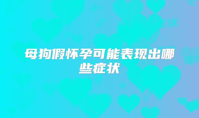 母狗假怀孕可能表现出哪些症状
