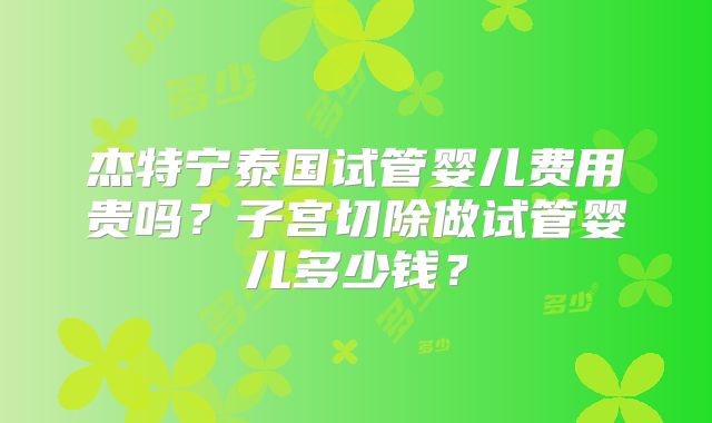 杰特宁泰国试管婴儿费用贵吗？子宫切除做试管婴儿多少钱？