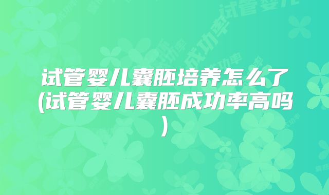 试管婴儿囊胚培养怎么了(试管婴儿囊胚成功率高吗)