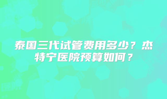 泰国三代试管费用多少？杰特宁医院预算如何？